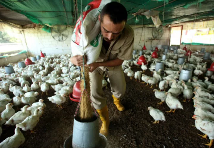 Importaciones también los afectan