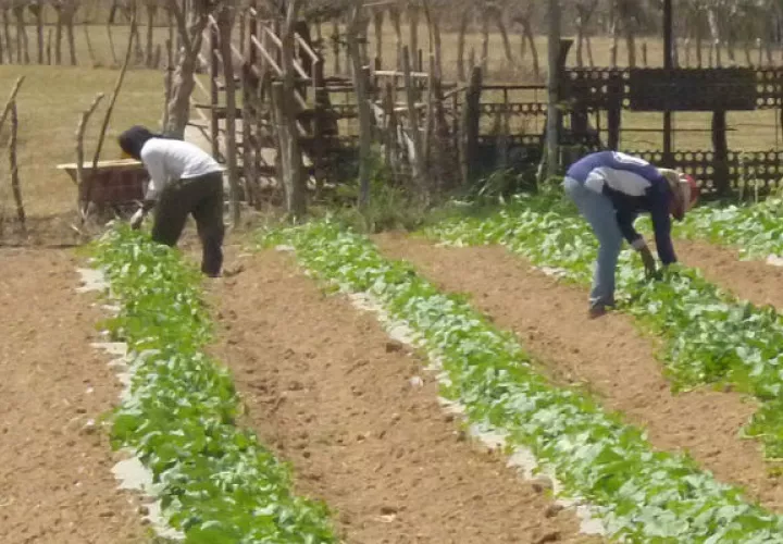 Los productores exigen respuestas.