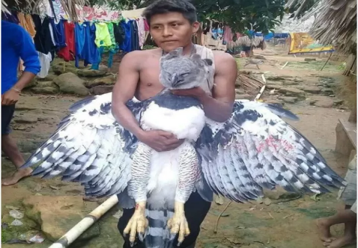 No se ha tenido reporte oficial sobre el hecho. / Foto: Cortesía