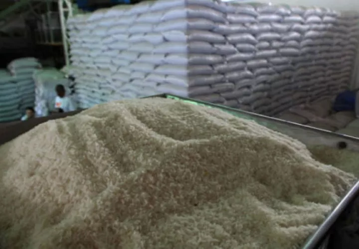  Ministro de Desarrollo Agropecuario, Eduardo Carles, reconoció la incineración de 37 mil quintales de arroz. Foto/Archivos