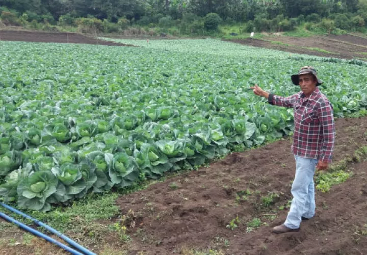 Los productores se cansaron de las promesas y exigen solución a su necesidad. Foto/José Vásquez