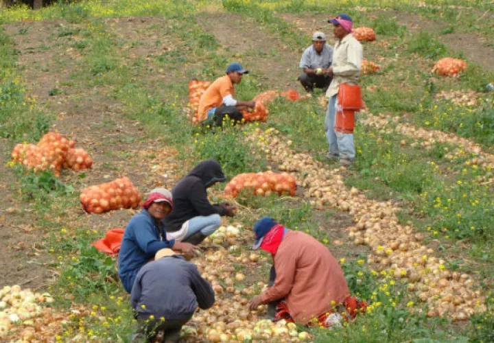 Productores en alerta ante pretensiones del Gobierno.