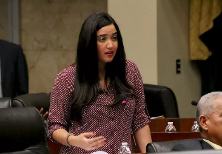 Diputada del PRD, Athenas Athanasiadis