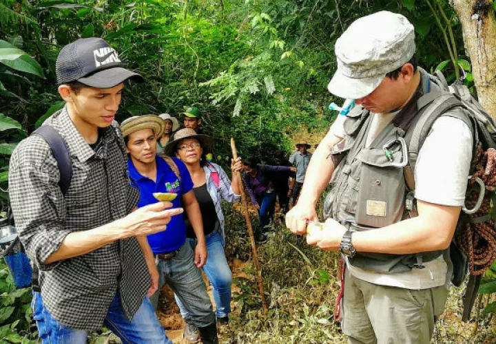 En Santa Fe de Veraguas, la ATP implementa el programa de Turismo Rural Comunitario. Foto/Cortesía