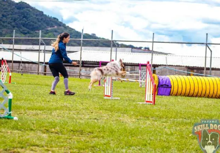 Practican los sábados y domingos.  Cortesía 