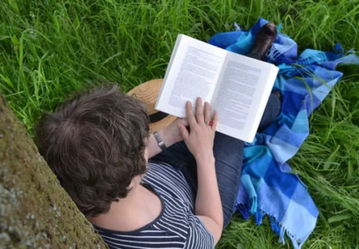 No se pierdan el Primer Festival del  arte y del libro, el 18 y 19 de enero en el Parque Omar. Foto: Pixabay