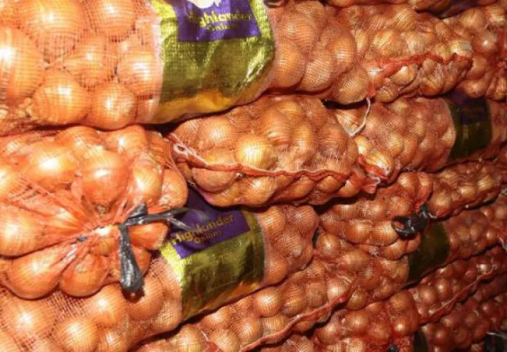 En Panamá se consume 50 mil quintales de cebollas al mes. Foto/Archivo
