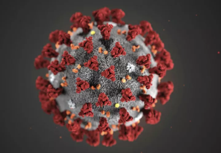 Fármacos antirretrovirales contra el virus del Sida funcionan contra el COVID-19. Foto: Archivo/Ilustrativa. 