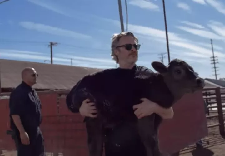 Joaquin Phoenix carga a Indigo. Foto: YouTube