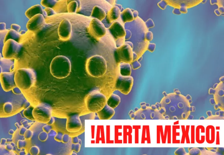 Detectan segundo caso de coronavirus en América Latina. Foto/Cortesía