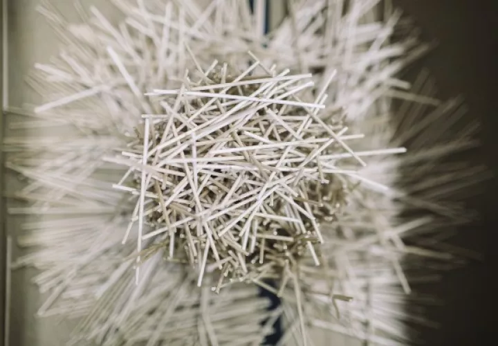 Palitos en un experimento cilíndrico en la Universidad de Akron, donde se estudia la construcción de nidos. Foto / Andrew Spear para The New York Times.