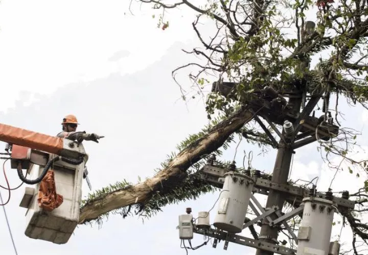 Las empresas eléctricas han tenido que reconectar a varios de sus clientes. 