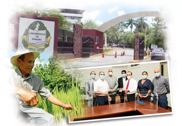 La Universidad de Panamá es la única en el país que gradúa ingenieros agrónomos  y ha formado al 90% de los profesionales de la salud del país. Foto: Epasa