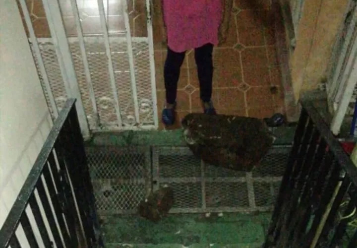 Desprendimiento de rocas de una ladera en Villa de Las Fuentes, corregimiento de Betania. Foto: Sinaproc