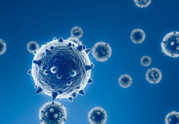 Para concursar deben subir sus fotos en 'fotociencia.senacyt.gob.pa'. Foto: Ilustrativa