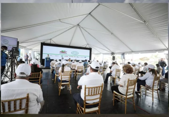 El BDA también facilitará préstamos de reconversión para agroexportadores de arroz, frijoles y maíz de hasta 100 mil dólares a un interés de 0%.