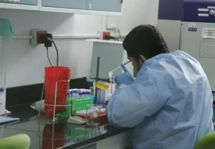 Las pruebas rápidas no detectan el COVID-19, aseguran los expertos.
