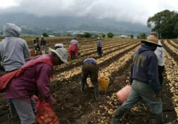  Se gestionaron y pagaron 712 casos durante los meses de julio a diciembre de 2019 por $4,200,000; y enero al 19 de junio de 2020 se ha aprobado el pago de 791 casos por $7,100,000.