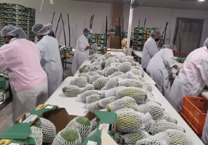 El año pasado las exportaciones crecieron 6.1%. Archivo