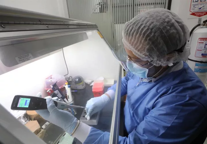 "Estamos valorando varios ensayos colaborativos internacionales para garantizar el acceso de la población a la vacuna", dijo a Efe este miércoles el ministro de Ciencia, Tecnología, Conocimiento e Innovación de Chile, Andrés Couve.