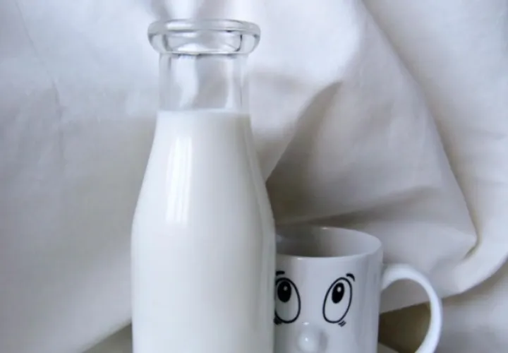 La Organización Mundial de la Salud recomienda consumir de dos a tres vasos de leche al día. Pixabay