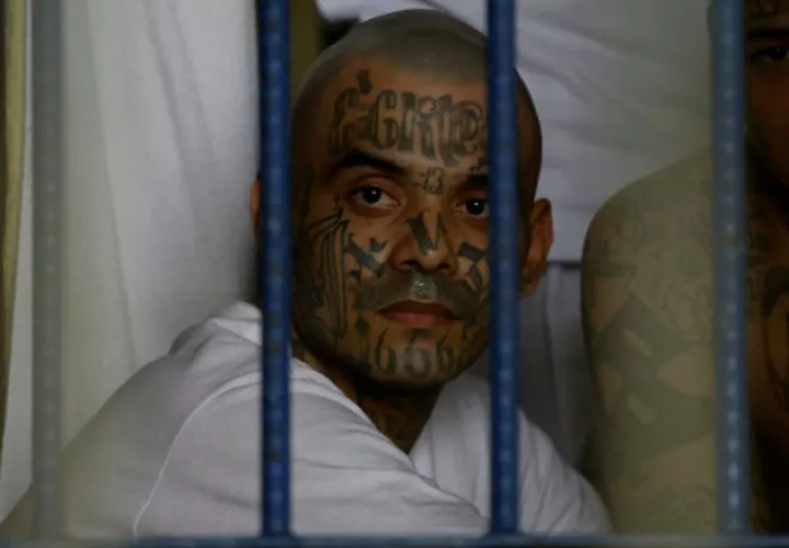 El presidente Trump dijo "no descansaremos hasta que llevemos ante la Justicia a todos los miembros del MS-13". Fotos: Archivo/Ilustrativa.