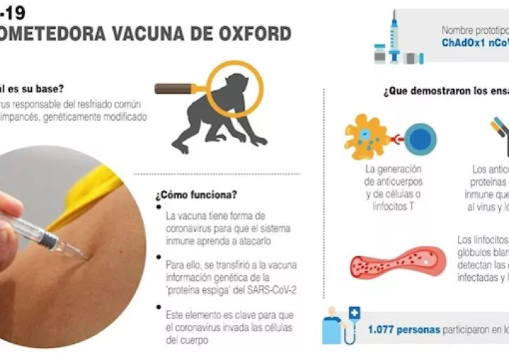 La vacuna "fue capaz de inducir una respuesta del sistema inmune, que necesitamos entender aún mejor, ya que esto se traduce en efectividad contra el coronavirus", explicó Folegatti.