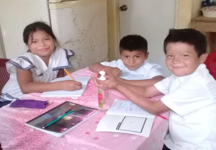 Las clases virtuales comenzaron el 20 de julio pasado.
