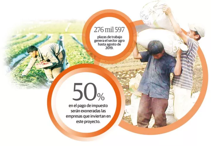 Estos agroparques tienen como finalidad integrar y aumentar la participación del sector agropecuario.
