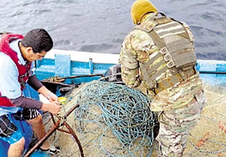 El atún, el bacalao y el tiburón son las especies más vulnerables con este tipo de prácticas de pesca ilegal, por su alto valor comercial en los mercados internacionales.