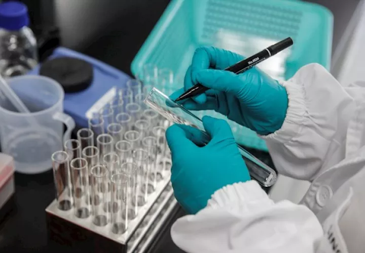 La farmacéutica indicó que más de 6,000 participantes son hispanos y más de 3,000 negros.