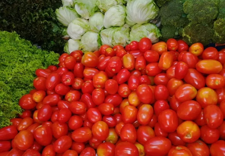 El tomate (3x3 y perita) pasó de 30 centavos la libra, a 80 centavos la libras para los mayoristas. Foto/Cadena de Frío