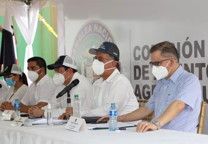 Los agroparques se establecerían en la región occidental del país, región Central, Panamá Oeste y Panamá Este, potenciando las alianzas público-privada.