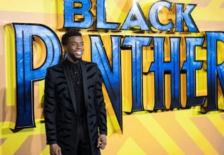 La serie derivada de "Black Panther" llevará por título "Wakanda". Foto: Archivo
