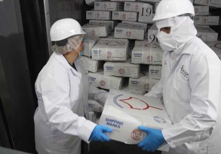 Panamá tiene habilitada, desde el año pasado, dos plantas para exportar carne de res al gigante asiático. Foto/Cortesía