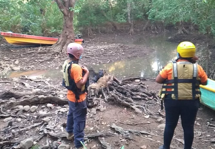  "Perico" se arrojó al charco y no salió más, quedando en el fondo. Foto: Melquiades Vásquez
