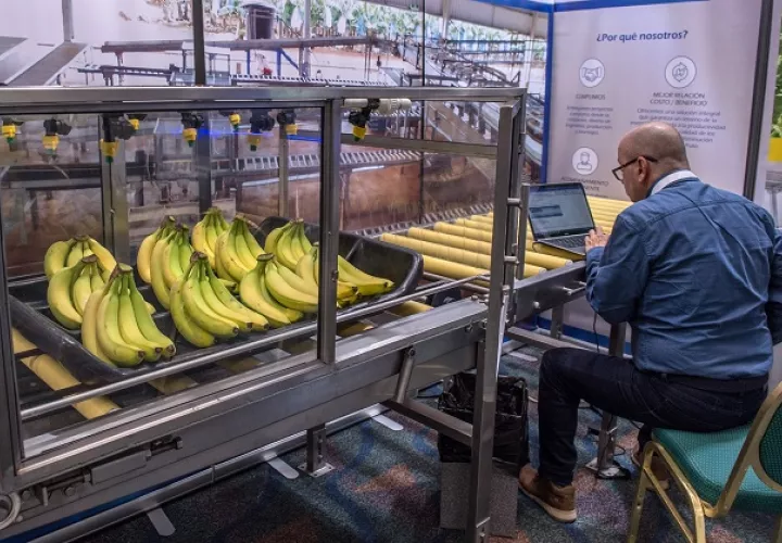 Según las autoridades costarricenses, entre los productos que se están viendo afectados se encuentran la fresa, la piña, el banano, los lácteos, la carne y los embutidos de bovino, cerdo y aves. Foto: EFE