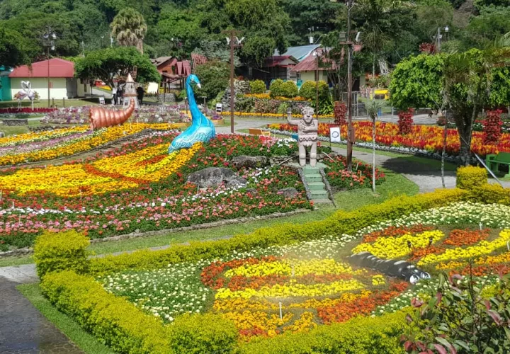 El alcalde de Boquete dijo que se le realizará una invitación al presidente salvadoreño, Nayib Bukele a la Feria de las Flores y del Café . Foto/Archivo
