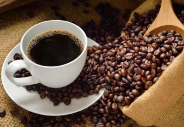 La Asociación de Café Especiales de Panamá subastó 49 lotes de 100 libras y uno de 93 libras, que obtuvieron los mejores puntajes en la reciente Cata Internacional del BOP. Foto: Archivo