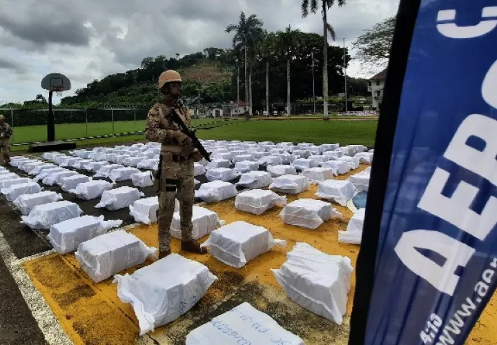 Senan decomisa la carga más grande de presunta droga hallada en contenedores. Foto: Cortesía Senan
