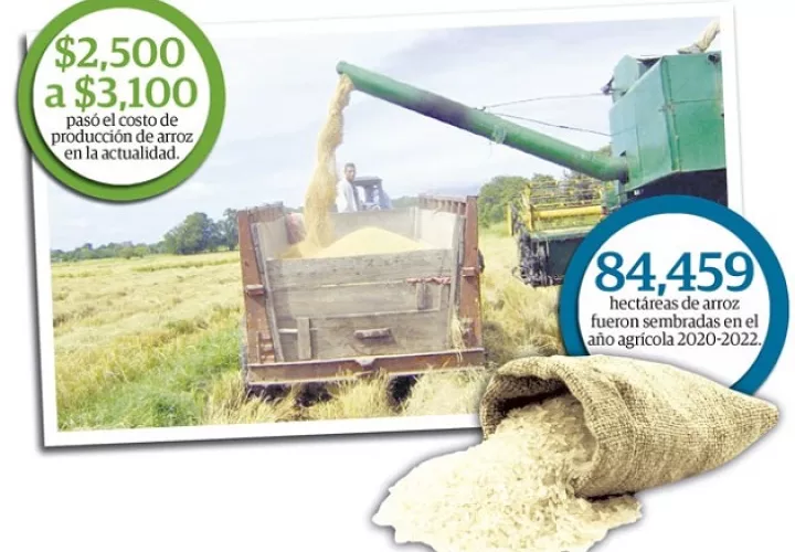 El precio del arroz por quintal tiene un valor de $26.50, de los cuales $9.50 es pagado por el Gobierno y el resto lo asumen los molineros ($17).
