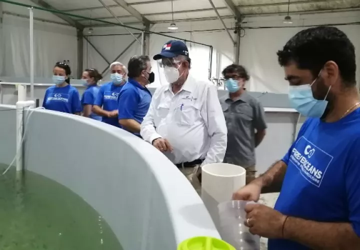 Una inversión de $50 millones de dólares en maricultura. Foto: Archivo