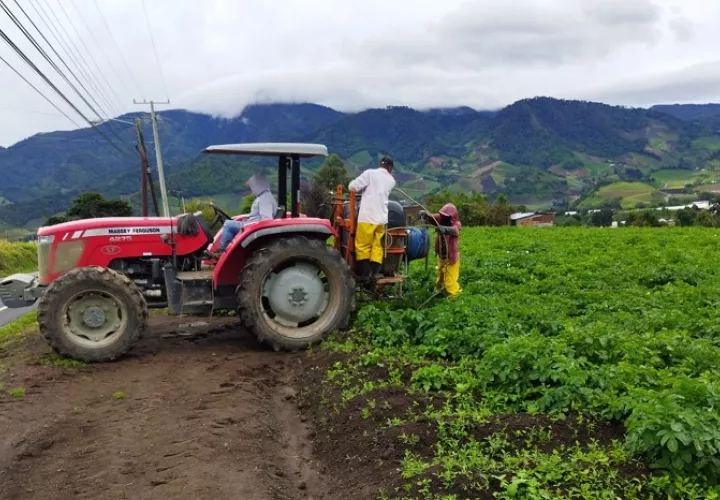 Por la falta de comercialización del producto, no tienen cómo hacer frente al pago de los trabajadores. Foto: José Vásquez 