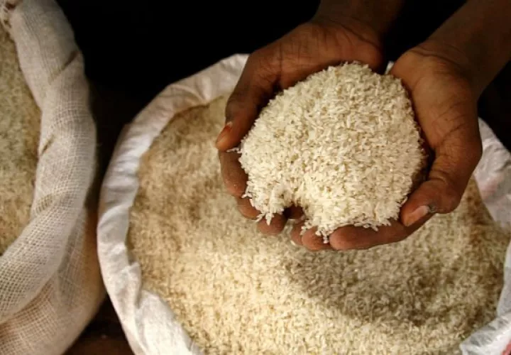 El consumo anual per cápita de arroz blanco se calcula en unas 154.32 libras. Foto: Archivo