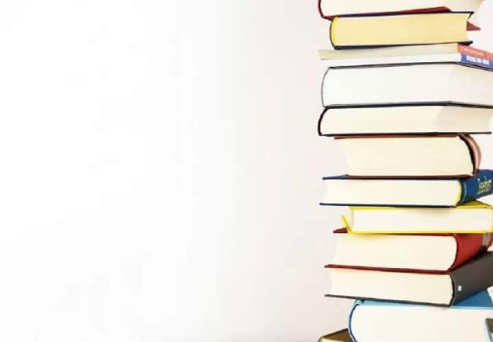 Habrá 'Trueque de libros' en Villa Lucre. Foto: Ilustrativa / Pixabay