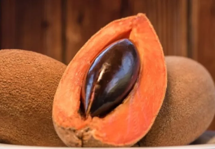Carotenoides del Mamey: su química y actividad biológica contra la enfermedad de Alzheimer, fue presentado por investigadores del Indicasat AIP. Foto: Cortesía
