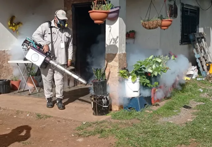 El año pasado se registraron en Chiriquí 233 casos de dengue. Foto: Archivo Ilustrativa