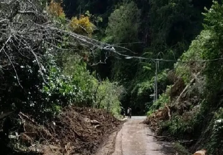 Se hizo un llamado a los usuarios de la vía a tomar las medidas de seguridad, ya que, debido al deslizamiento, hay un grado de riesgo. Foto. José Vásquez