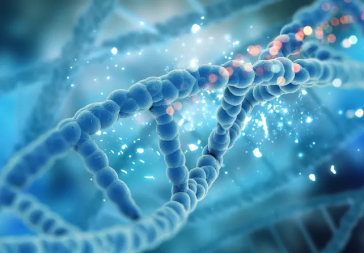 La herencia biológica es 'algo más que la simple herencia del ADN genómico'. Genes. Ilustrativa / Freepik 