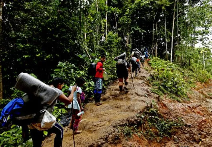 Un total de 248,901 migrantes irregulares han cruzado el Darién en 2023. Foto: EFE